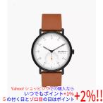 スカーゲン 腕時計 KUPPEL SKW6889