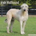 Irish Wolfhound 2022 Wall Calendar