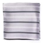  pocket square EXCY FORMAL VANNERS шелк полоса серебряный шелк 