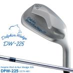  Kasco Dolphin Wedge DW-225 DPW-225 48° мужской правый для steel вал DOLPHIN PITCH & RUN WEDGE 2025 approach . металлический дробилка 
