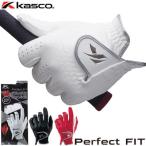 Kasco(キャスコ) パーフェクトフィット メンズ ゴルフ グローブ (左手用) SR-2017 [ブラック・レッド]