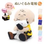 祝電 誕生日 ぬいぐるみ電報「スヌーピー　チャーリー・ブラウン ハグぬいぐるみ」紙素材カード バルーン お祝い ギフト 結婚式 結婚祝い 敬老の日 2025