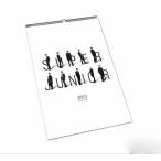 Super Junior - 公式カレンダー 2013 Wall Calendar  壁掛けカレンダー 韓国盤