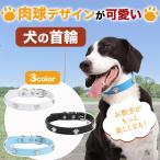  ошейник собаки лапа дизайн маленький размер собака средний собака большой собака мягкий легкий гибкость Fit чувство водостойкость . пот . долговечность кислота .. трудно крепкий износостойкость . покупка 