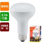 LED電球、LED蛍光灯