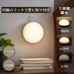 LED кнопка лампа (3 -ступенчатый style свет тип / кнопка тип переключатель /USB зарядка Type-C/140 lm/ лампа цвет )_06-5081_TT-Y106K_OHM( ом электро- машина )