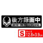  бесплатная доставка после person видеозапись средний Skull чёрный S волосы линия aluminium стикер наклейка 12.8x3.9cm S размер регистратор пути (drive recorder) установка машина борт движение меры S EXPROUD B07WW2Y8L3