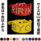 首輪 イタグレ ミニピン スタッズ 