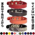 1.5cm幅 首輪 小型犬 革：Small Type 000(