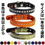 1.5cm幅首輪小型犬スタッズ革：...
