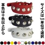 首輪 イタグレ ミニピン スタッズ 