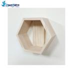  aqua liteo легкий подставка for Hexagon белый 3kg до настенная полка орнамент стена прекрасный человек простой ho chi Kiss . смешанные товары AquaRideo