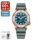 【豪華特典付き】CITIZEN PROMASTER プロマスター MARINEシリーズ 光発電エコ・ドライブ  構造色 世界限定3,400本 EO2023-00W