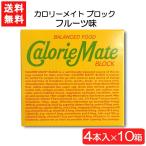 ショッピングカロリーメイト 送料無料 大塚製薬 カロリーメイト ブロック フルーツ 4本×10箱 栄養 空腹解消 手軽 フルーツ味