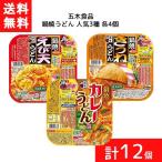 送料無料 セット商品 鍋焼うどん 人気3種 えび天うどん きつねうどん カレーうどん 各4個 計12個  うどん 鍋焼きうどん 麺