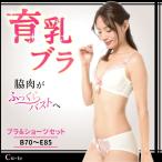 ブラジャー 上下セット 補正下着 高品質 綿 バストアップ 育乳ブラ ショーツ ホワイト