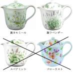 日本製 急須 紅茶器 茶器 celec セレ�