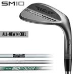 Titleist タイトリスト 日本正規品 VOKEY DESIGN ボーケイデザイン SM10 ウェッジ ニッケル仕上げ スチールシャフト 「 853RS 」