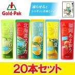 20本セット ゴールドパック フルーツ バー シャーベット アイス 果汁10%