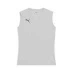  Puma teamLIGA прохладный внутренний 660907-33 мужской почтовая доставка бесплатная доставка 