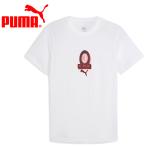  Puma ACM FtblCulture Tee 782596-02 мужской почтовая доставка бесплатная доставка 