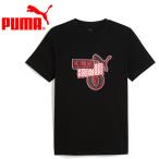  Puma ACM FtblCulture Tee 782596-04 мужской почтовая доставка бесплатная доставка 