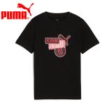  Puma ACM FtblCulture Tee Jr 782601-04 Junior почтовая доставка бесплатная доставка 