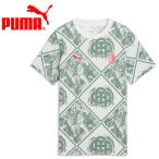  Puma ACM FtblCulture Tee AOP Jr 784724-04 Junior почтовая доставка бесплатная доставка 
