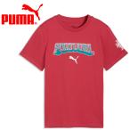  Puma FPF FtblCulture Tee Jr 784825-27 Junior почтовая доставка бесплатная доставка 
