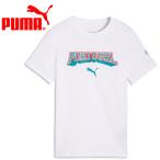 Puma FPF FtblCulture Tee Jr 784825-29 Junior почтовая доставка бесплатная доставка 