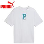  Puma FPF ftblCulture Collegiate Tee 784830-34 мужской почтовая доставка бесплатная доставка 
