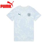  Puma MCFC FtblCulture Tee AOP 785788-08 мужской почтовая доставка бесплатная доставка 