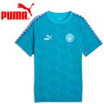  Puma MCFC KING Tee 786293-35 мужской женский унисекс почтовая доставка бесплатная доставка 