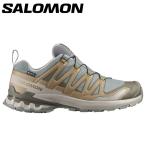  Salomon XA PRO 3D V9 GTX L49229600 мужской обувь 