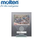 moru тонн memorial pab зеркало гандбол MPMSH