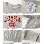 アイテムID:14535296の画像2枚目