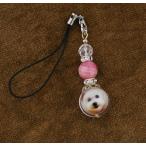 Yahoo! Yahoo!ショッピング(ヤフー ショッピング)インカローズ　犬猫写真入りアクセサリー　送料無料