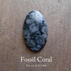 Yahoo! Yahoo!ショッピング(ヤフー ショッピング)フォッシルコーラル  ブラック（化石珊瑚）約28×18×4mm 天然石 カボション・ルース　マクラメアクセサリー ハンドメイド素材 c0274　メール便送料無料