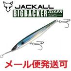 ビッグバッカー ライザー 012SL イナスリムボーダーホロ
