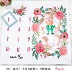 ベビーアート 寝相アート 背景シーツ 背景布 月齢 カレンダーリーフ フォト 写真 記念撮影 記念写真