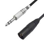 F-Factory 6.3mm TRS フォーン(標準)プラグ (オス) - XLR(キャノンプラグ) (オス) 変換ケーブル 3m FNT-XT-16030S