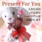 フローリストレマン ハーバリウム ぬいぐるみ うさぎ バラ プレゼント 誕生日 母の日 敬老の日 記念日 プロポーズ 歓送迎