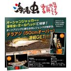 クレージーオーシャン　海毛虫　2.5in　【メール便（ゆうパケット）配送可】