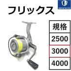 フリックス 3000/1.0