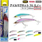 デュエル/DUEL アイルマグネット TG ミノー(F) 125mm F1253 AILE MAGNET TG MINNOW ソルトルアーミノー シーバス 青物(メール便対応)