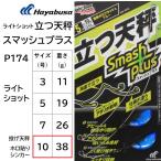 ハヤブサ/Hayabusa ライトショット 立つ天秤 スマッシュプラス P174 10号 ホロフラッシュレッド ライトショット 投げ天秤 ホロ貼りシンカー(メール便対応)