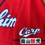 * бесплатная доставка * Hiroshima carp Okayama обыкновенный карп . белый ткань отвечающий . вышивка нашивка форма 