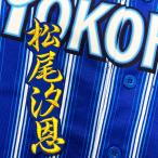 * бесплатная доставка * Yokohama DeNA Bay Star z Matsuo .. имя 2 синий вышивка нашивка форма 