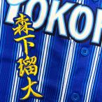 * бесплатная доставка * Yokohama DeNA Bay Star z лес внизу . большой имя 2 синий вышивка нашивка форма 