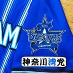 * бесплатная доставка * Yokohama DeNA Bay Star z Kanagawa .. белый ткань вышивка нашивка форма 